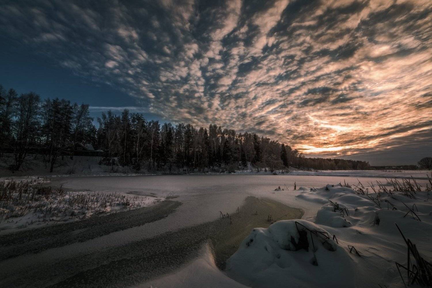 , Евгений Цветков