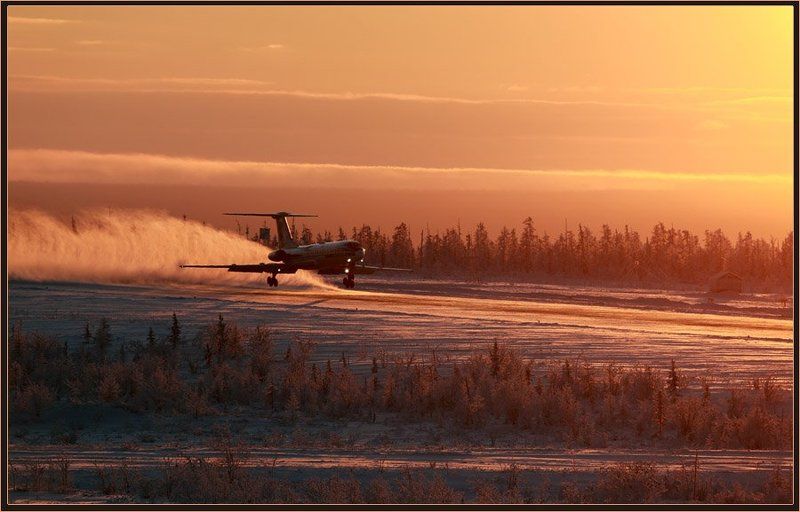 Посадка фото превью