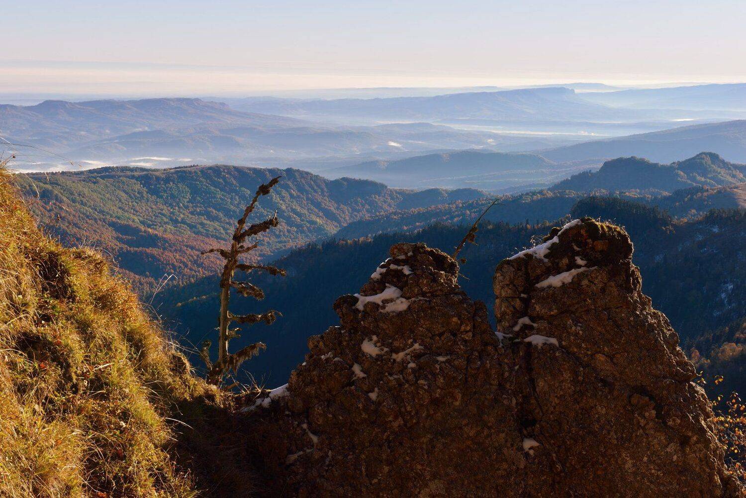 , Максим Евдокимов