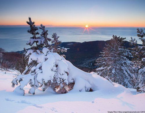 Зима в Ялте