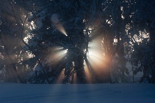 Здравствуй, Шерегеш!