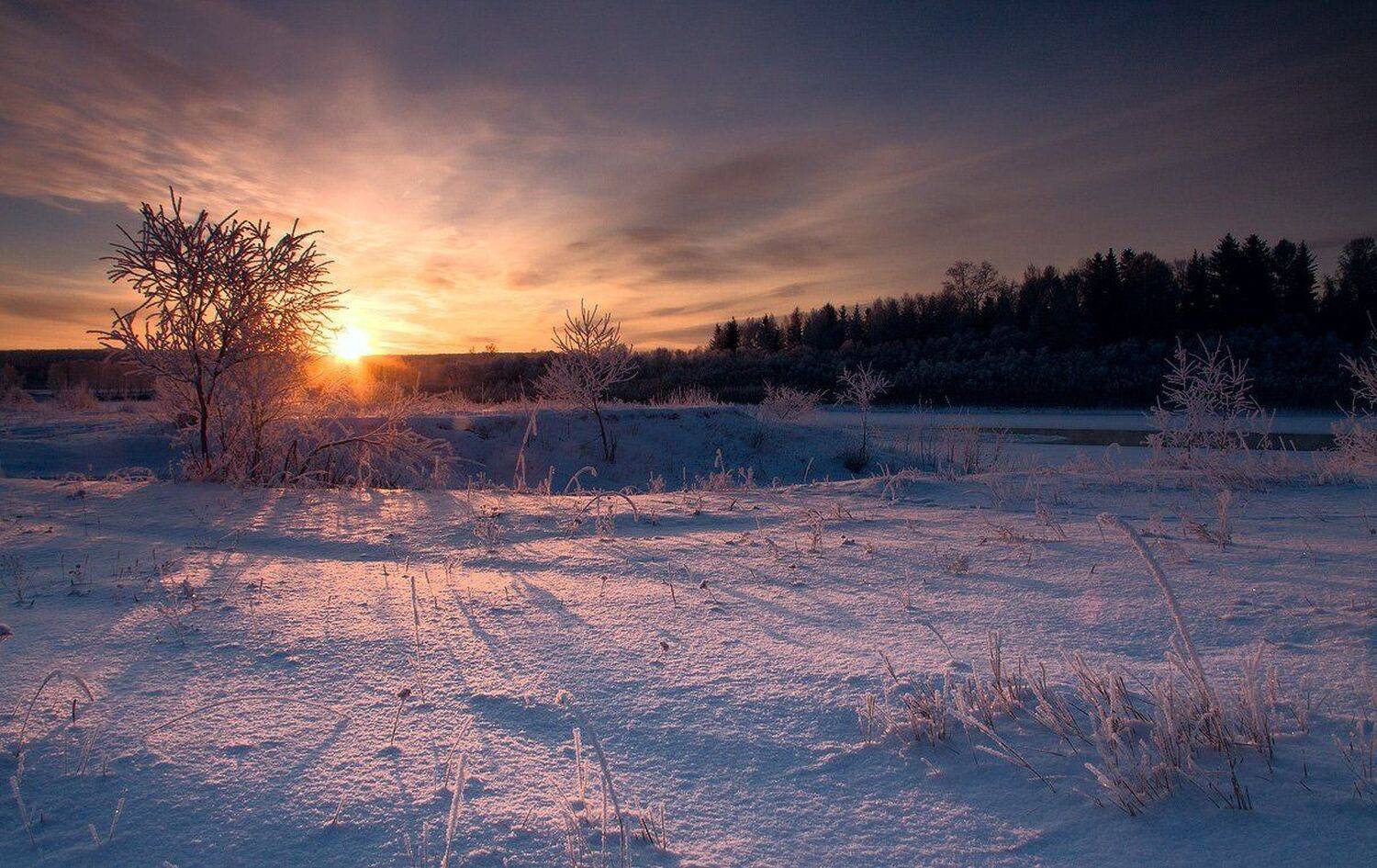 , Николай Морский