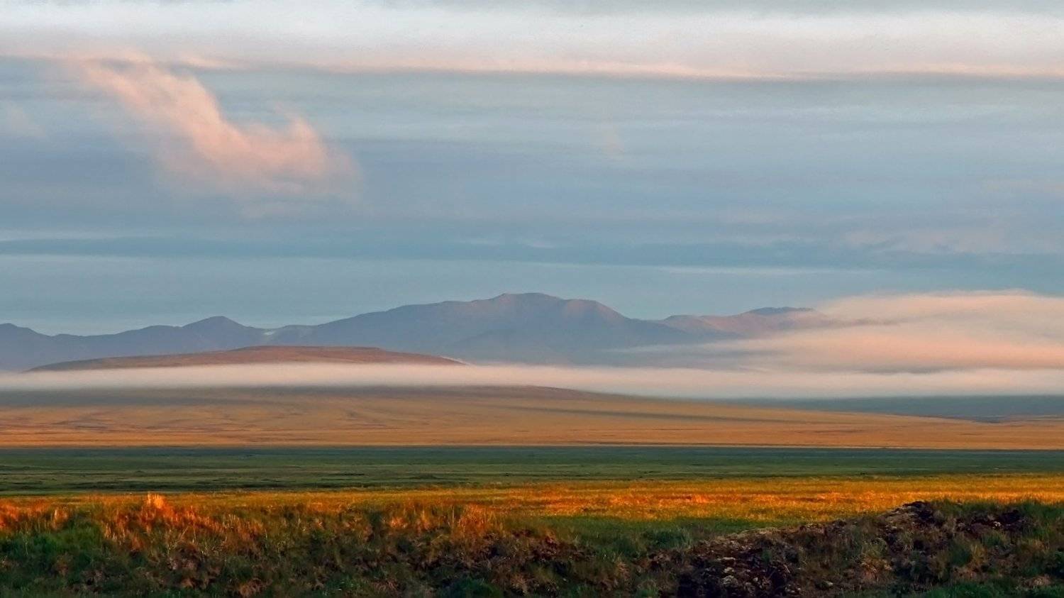 , Сергей Шульга