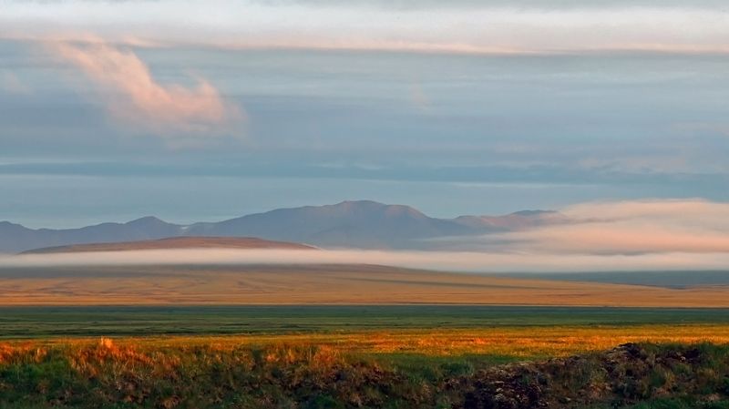 Вуаль. фото превью