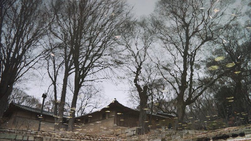 reflection фото превью