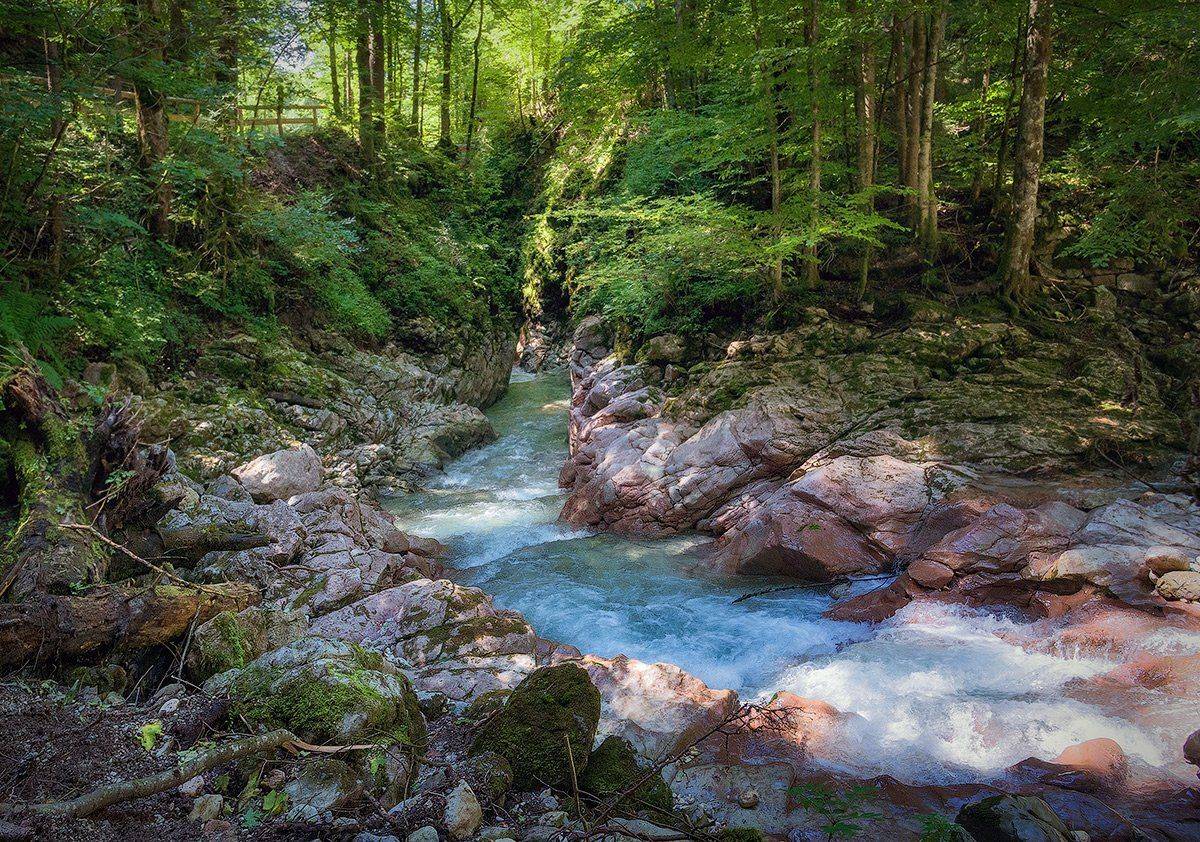 , Игорь Мелекесцев