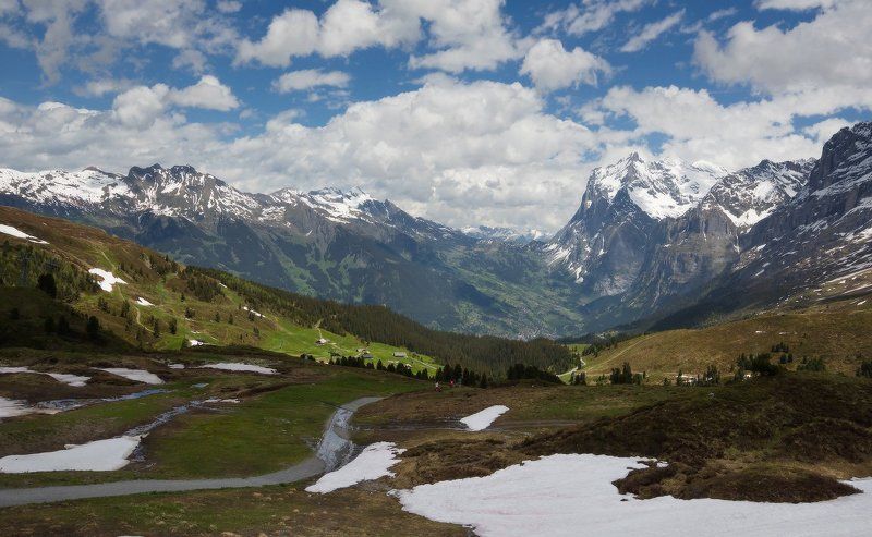 alps, альпы Альпы в июне фото превью