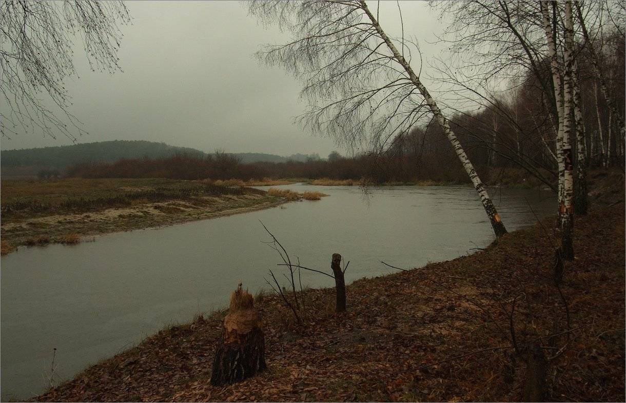 , Николай Шахманцир