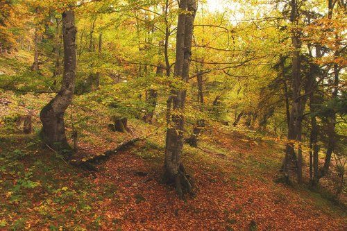 Греет полдень