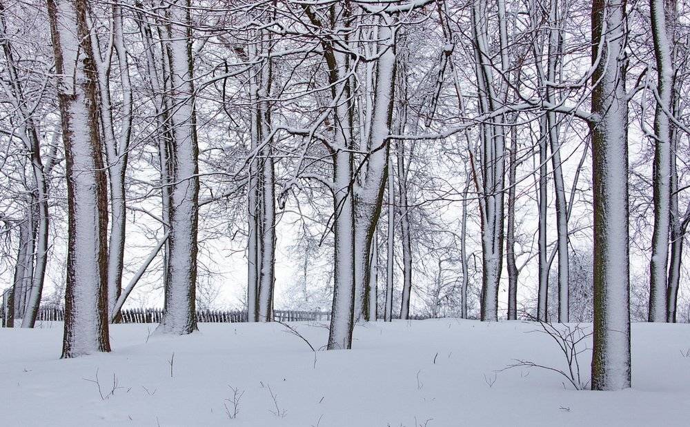 , Валерий Кондратов