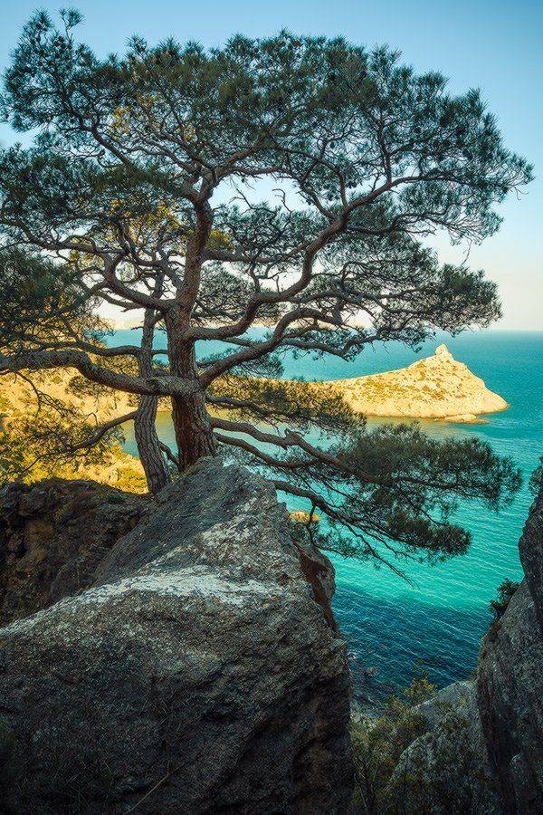 , Ярослав Тюрменко (Jaremi)