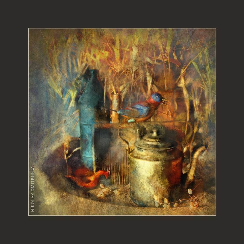 , николай дмитрук