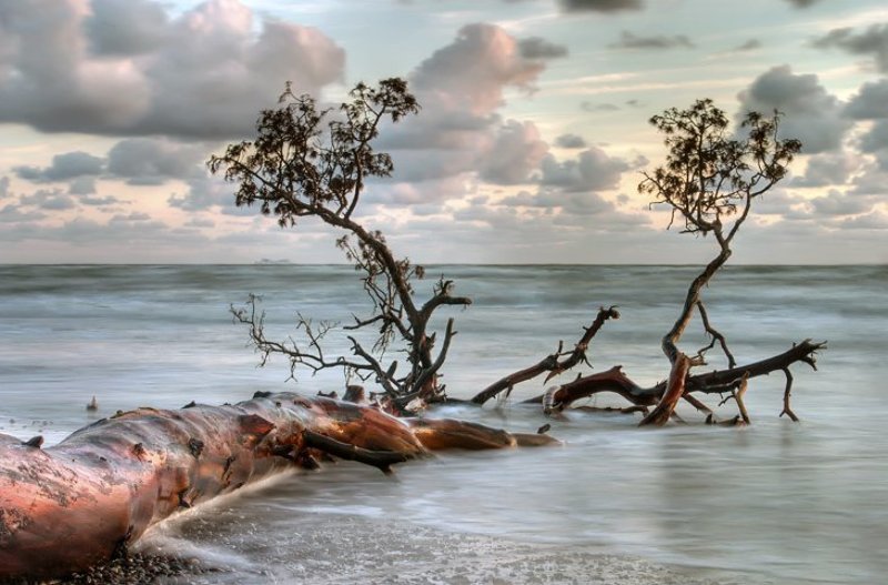 *** фото превью