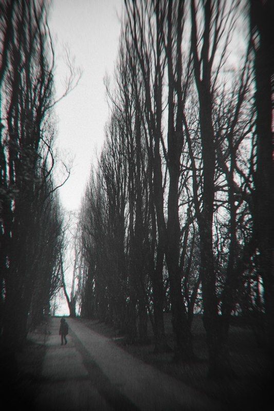 Botanisk hage фото превью