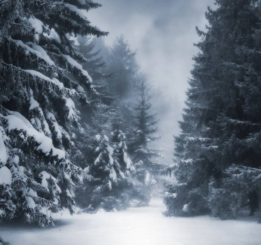 , Михаил  Пилипенко