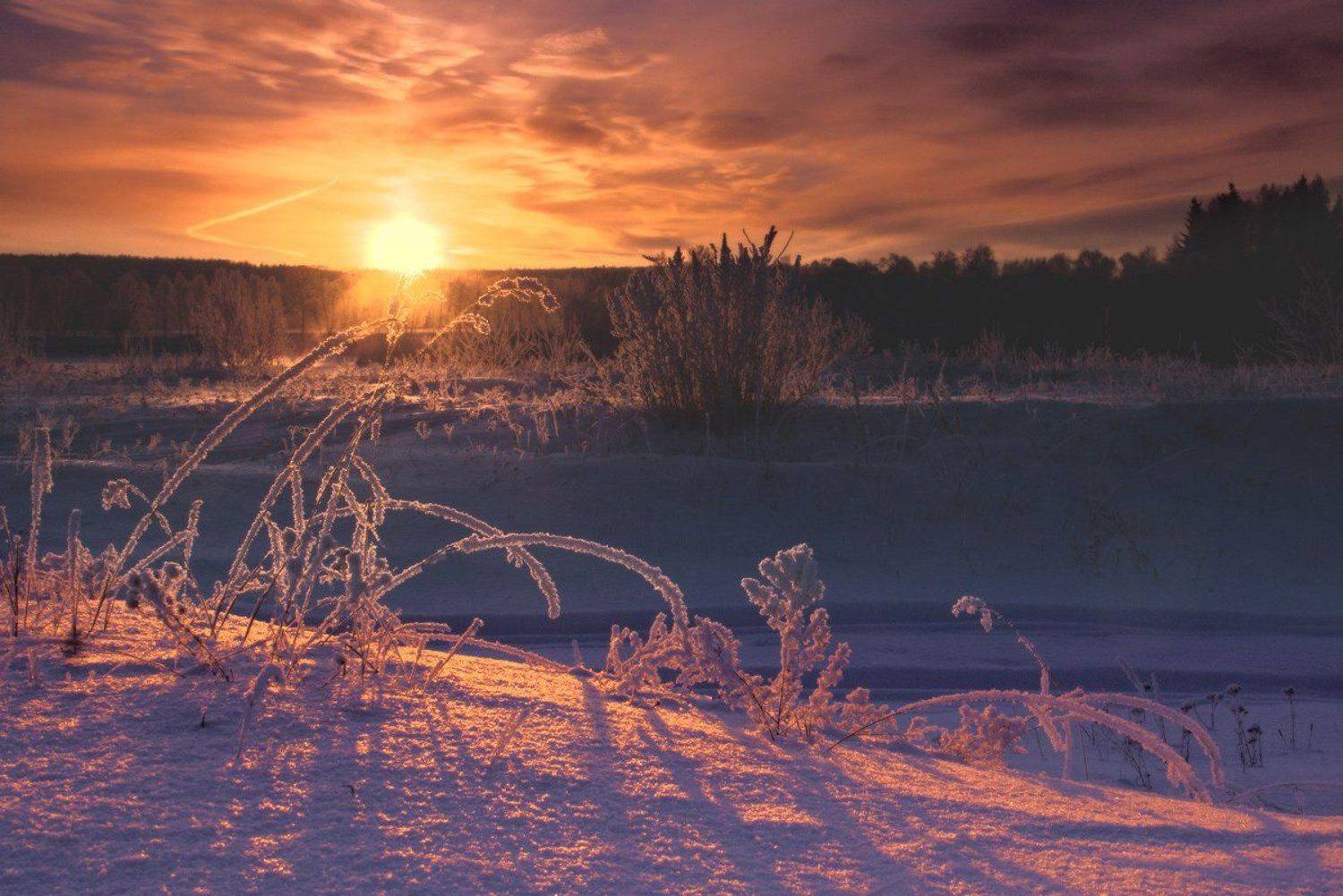 , Николай Морский