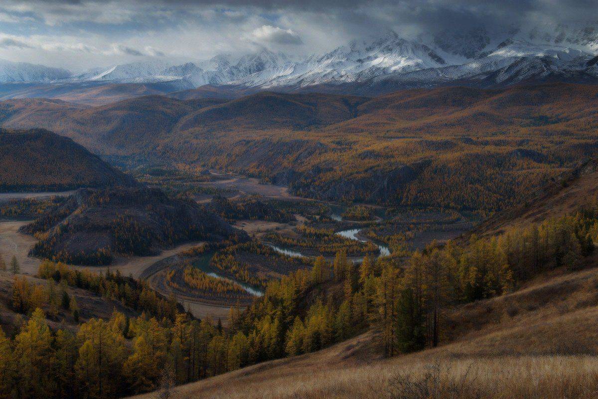 , Евгений Мартов