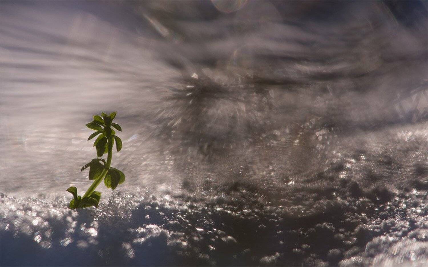 , Геннадий Мещеряков