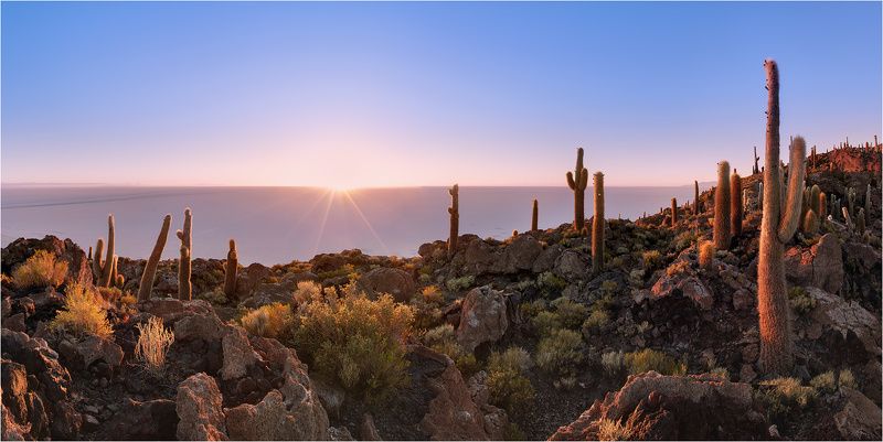Остров Пескадо ( Остров кактусов) фото превью
