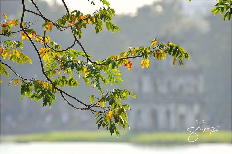 Ha Noi Autumn фото превью