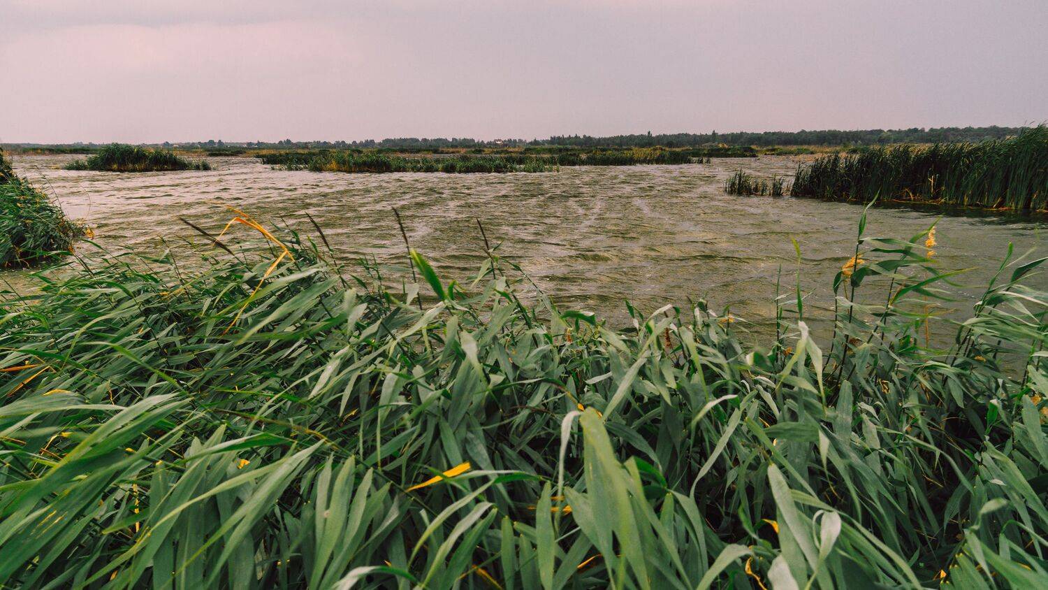 , Юрий Вертиков