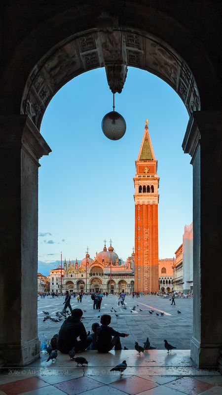 Когда голубей кормить нельзя, но все это делают. И ради этого приезжают в Венецию! фото превью
