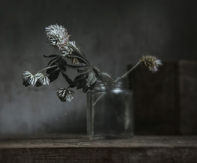 клевер, стекло, растение С клевером фото превью