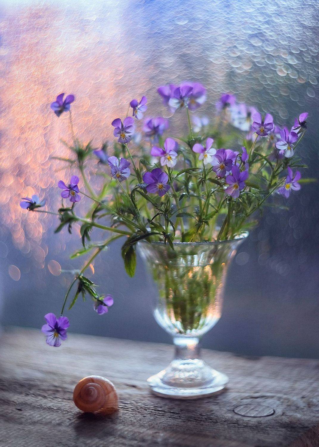 букет фиалки натюрморт цветы, Наталья Кабачек