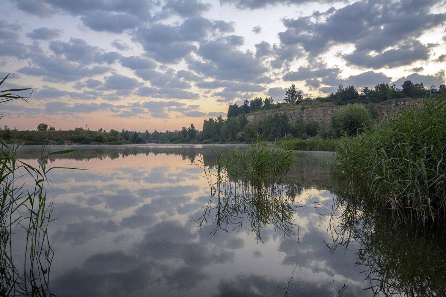 , Анатолий Зверев