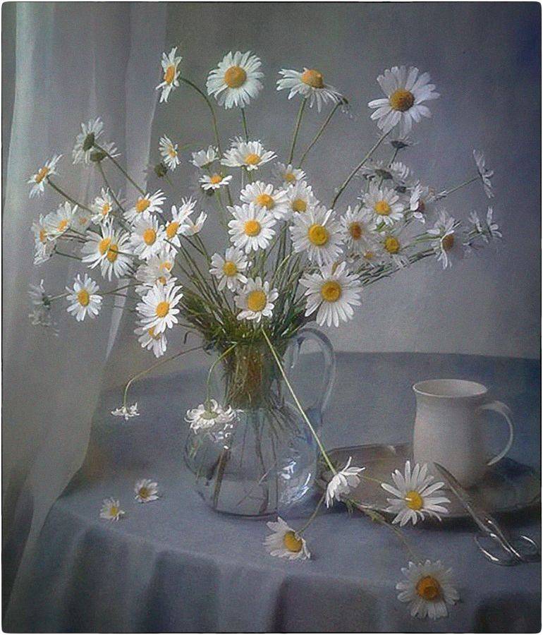 , Stein Georg