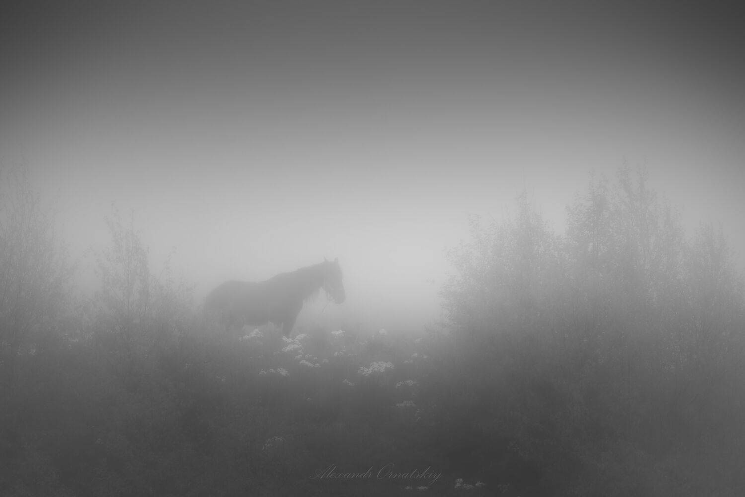 , Александр Орнатский