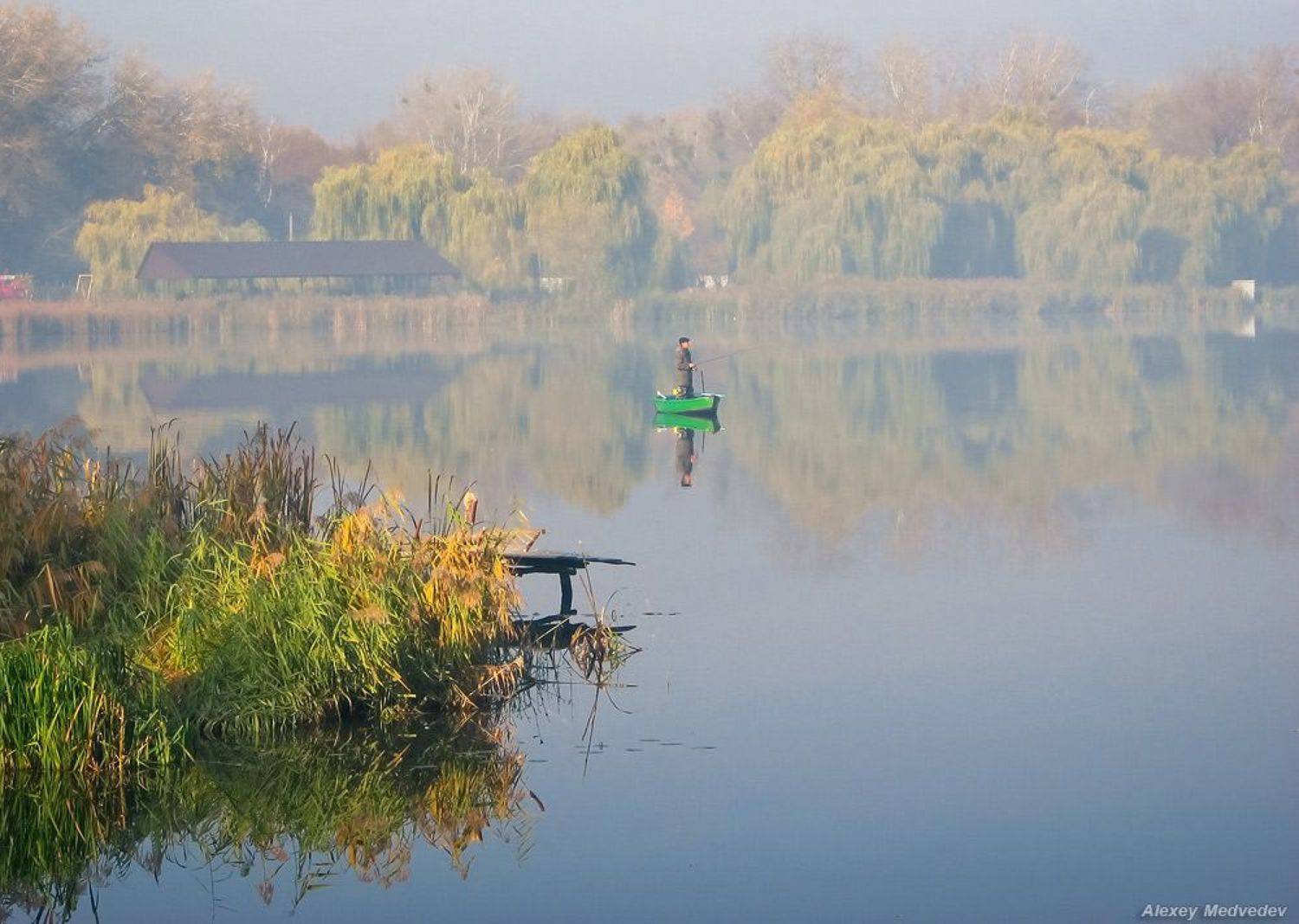 васильков васильків стугна, Алексей Медведев