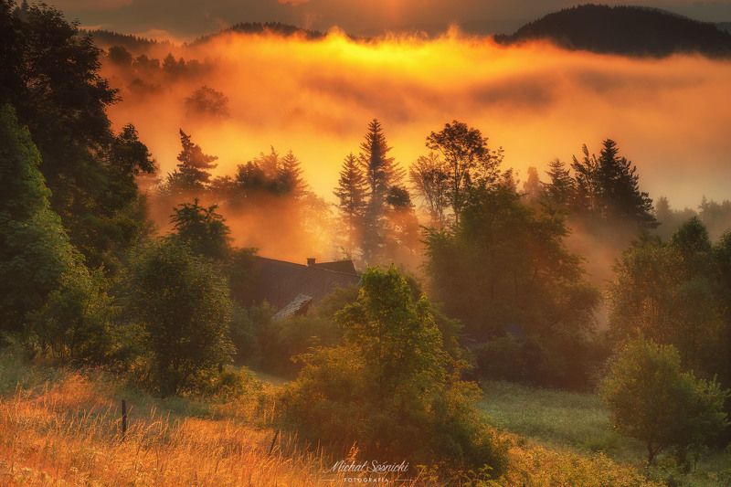 Amazing morning... фото превью
