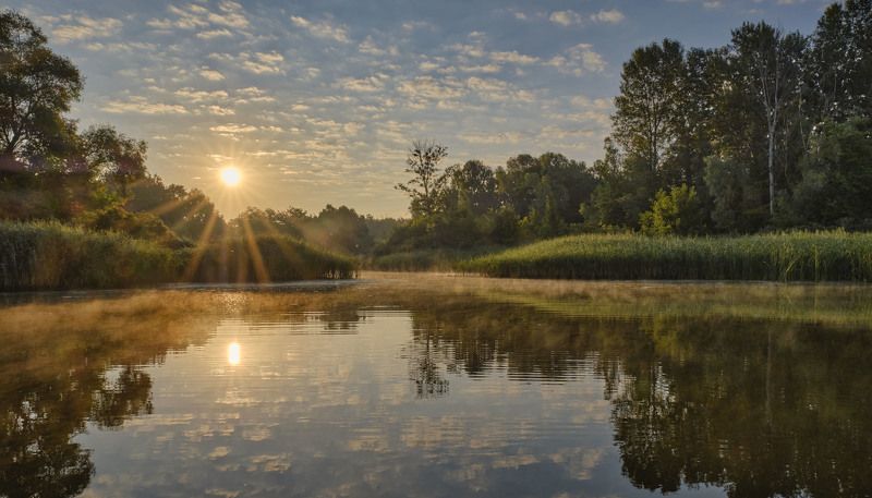 Утро на реке фото превью