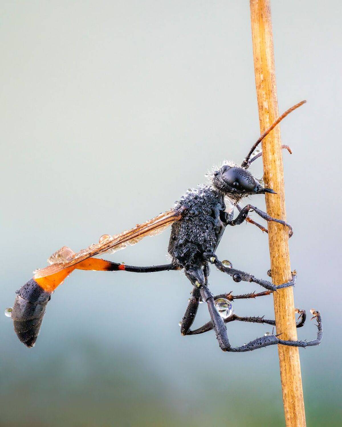 , Сергей Брагин