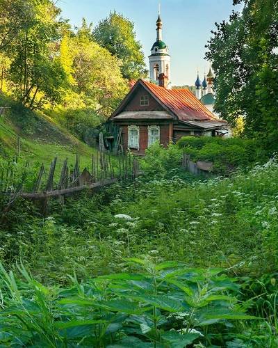 Крапива