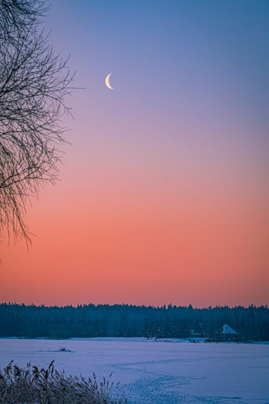 Тихий зимний рассвет.  фото превью