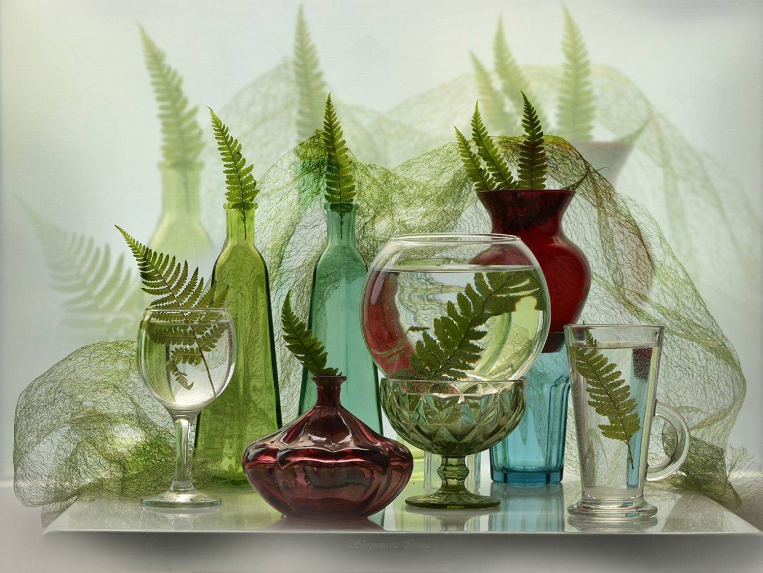 , Шипунова Ирина