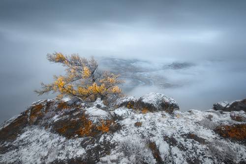 Дыхание зимы