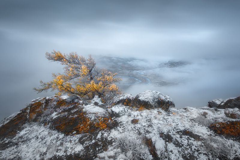 алтай, туман Дыхание зимы фото превью
