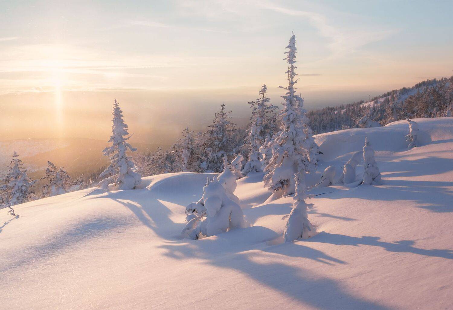 , Лещёнок Александр