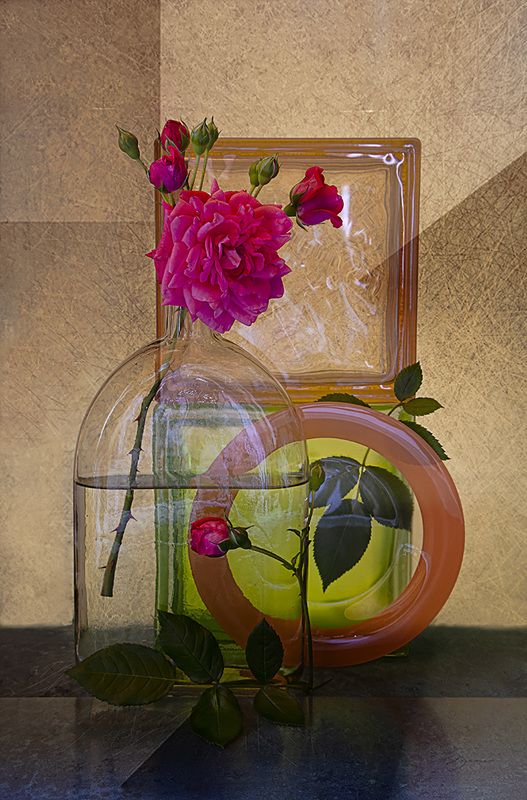 роза Королева цветов. фото превью