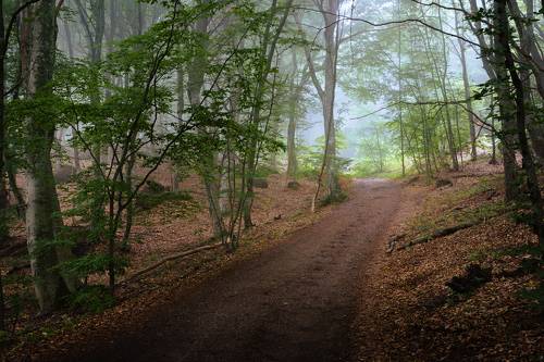 Дорога на Демерджи