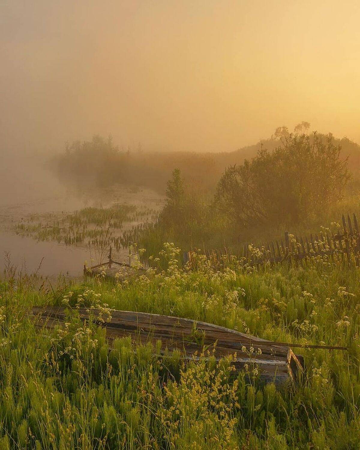 лодка, река, туман, рассвет, Петр Косых