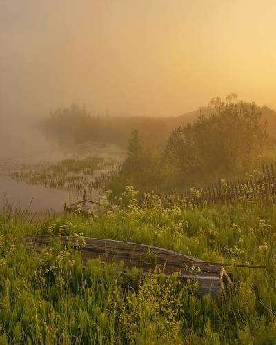 Туманное утро