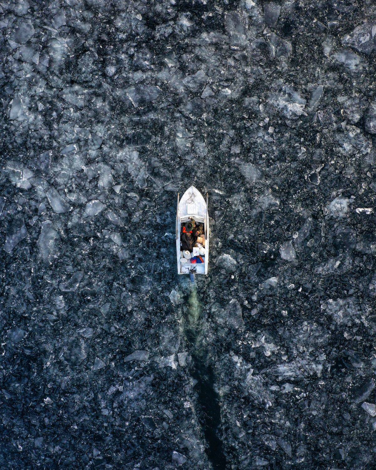 , Антон Мелёшкин