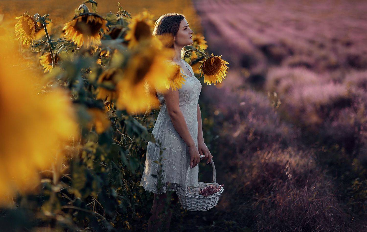 , Деян Романов