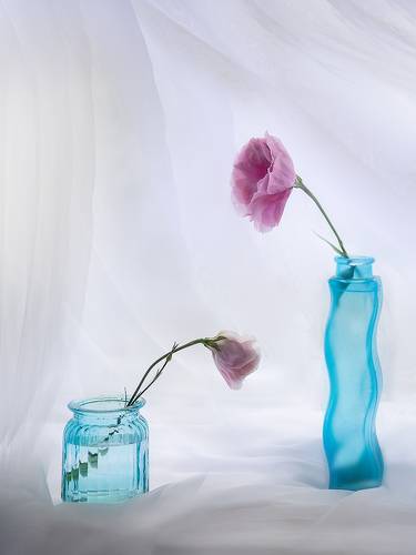 Безмолвный разговор...