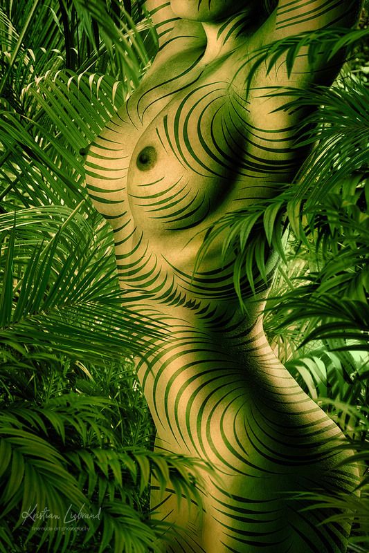 nude, bodypaint, model, sexy, plants, jungle, rainforest, forest, palm jungle nude - wild life фото превью