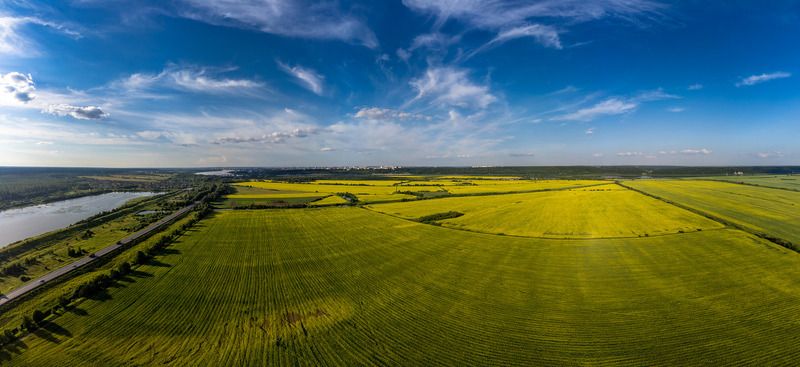 Этюд в желто-синих тонах фото превью